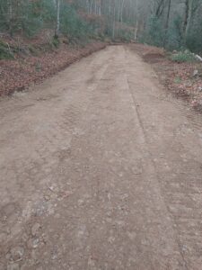 20241218_165609-225x300